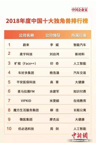获评2018中国十大独角兽,旷视科技为商业提供新动能
