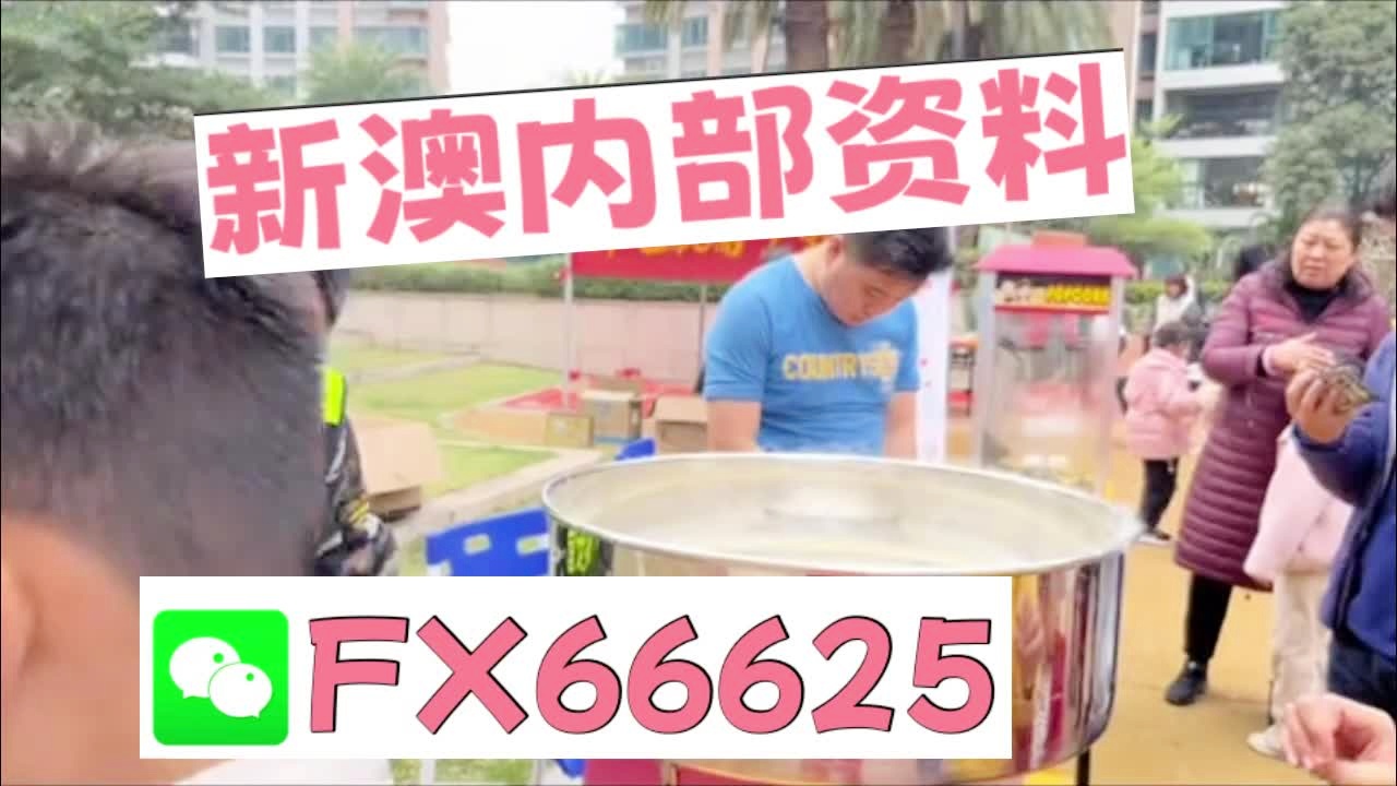 新奧2025資料大全最新版本，全面解析與深度洞察，新奧2025資料大全最新版，全面解析與深度洞察報(bào)告