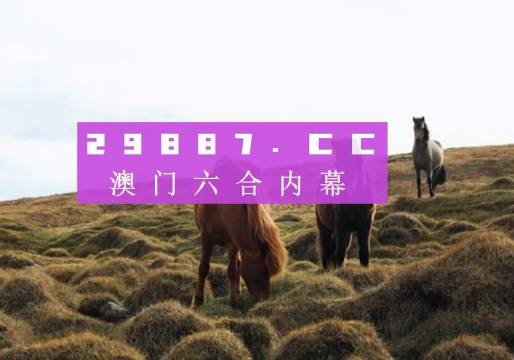 今晚澳門9點(diǎn)35分的彩票開獎(jiǎng)，期待與驚喜交織的時(shí)刻，澳門今晚9點(diǎn)35分彩票開獎(jiǎng)，期待與驚喜交匯的時(shí)刻