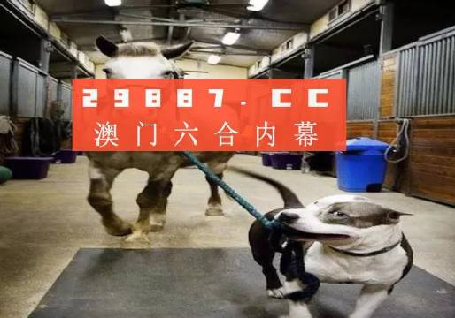 澳門一肖一碼一必中一肖，同舟前進的奧秘與策略，澳門一肖一碼必中策略與前進奧秘，同舟共濟的揭秘與策略