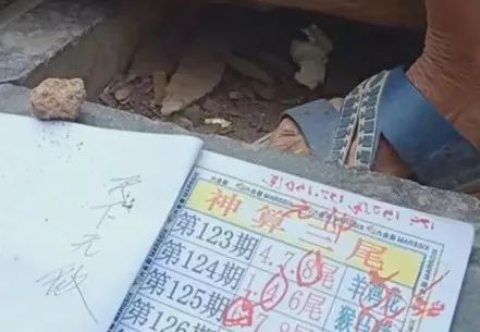 香港中特期期準資料，深度解析與探索，香港中特期期準資料深度解析與探索報告