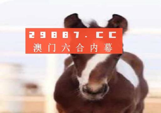 澳門一肖一碼狀元紅，揭秘彩票背后的秘密與策略，澳門彩票揭秘，狀元紅背后的秘密與策略解析