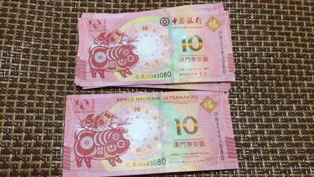 新澳門生肖走勢圖，深度解析與預(yù)測，澳門生肖走勢圖深度解析及預(yù)測報告