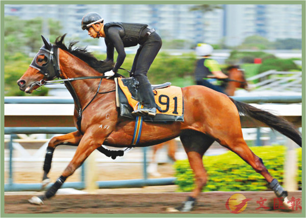 香港賽馬，探索數(shù)字背后的激情與榮耀，香港賽馬，數(shù)字背后的激情與榮耀之旅