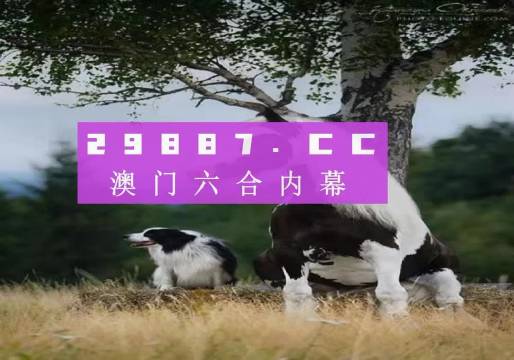 澳門天天空彩官網(wǎng)資料，探索彩票世界的門戶，澳門天天空彩官網(wǎng)資料，彩票世界探索門戶