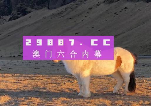 澳門天天彩資料正版免費(fèi)特色快8，探索彩票世界的魅力與機(jī)遇，澳門天天彩正版特色快8，彩票世界的魅力與機(jī)遇探索