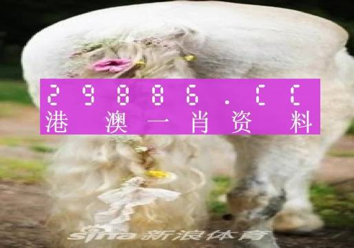 澳門羊了個(gè)羊與各大圖庫(kù)的資料揭秘，2023年澳門今晚必中一肖一碼永久免費(fèi)資料庫(kù)大解密，澳門羊了個(gè)羊與資料庫(kù)揭秘，2023年必中一肖一碼永久免費(fèi)資料大解密