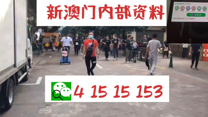 澳門管家婆，揭秘一種獨(dú)特的文化現(xiàn)象與娛樂體驗(yàn)，澳門管家婆，文化現(xiàn)象與娛樂體驗(yàn)的揭秘