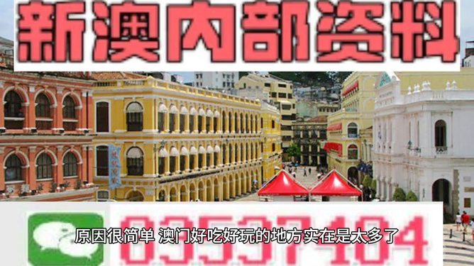 澳門精準(zhǔn)資料大全免費(fèi)，探索與解析，澳門精準(zhǔn)資料大全免費(fèi)解析探索