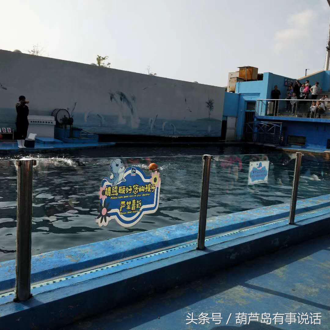 揭秘9點30分彩新澳，全方位解讀彩票新玩法，揭秘9點30分彩新澳，全方位解讀彩票新玩法攻略