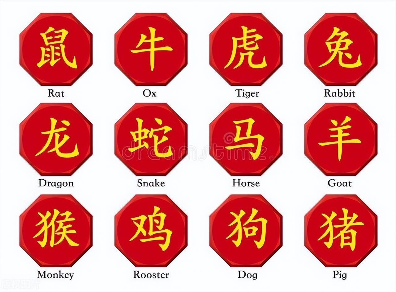 新澳特碼，羊?；⒏鲾?shù)10——揭秘背后的數(shù)字奧秘，揭秘新澳特碼數(shù)字奧秘，羊牛虎各數(shù)背后的秘密