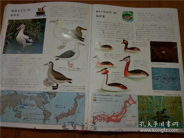 今日正版跑狗圖分享，探索7777788888跑狗圖的魅力，今日正版跑狗圖分享，探索魅力十足的777778跑狗圖
