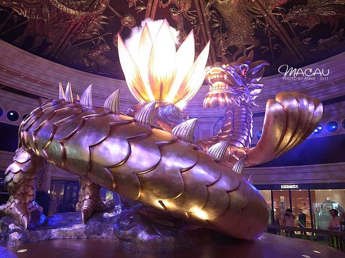 澳門(mén)無(wú)錯(cuò)七尾，探索與解析，澳門(mén)無(wú)錯(cuò)七尾，深度探索與解析