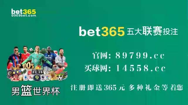 王中王中特馬王中王精準(zhǔn)資料解析與SEO優(yōu)化策略探討，王中王中特馬精準(zhǔn)資料解析與SEO策略探討