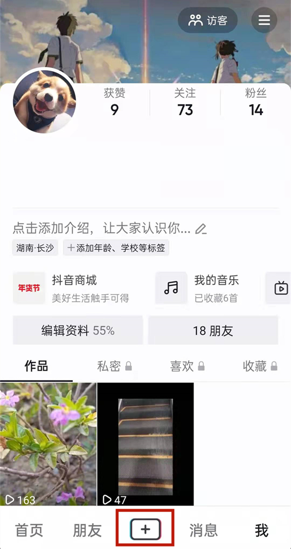 白小姐的精準免費四肖，揭秘背后的秘密，揭秘白小姐精準免費四肖背后的秘密