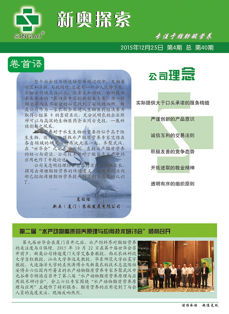 2025新澳正版資料查詢指南，2025新澳正版資料查詢手冊(cè)