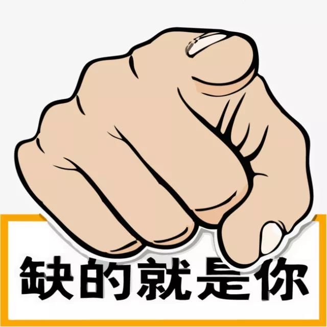 鐵算盤，全網(wǎng)矚目，傾力打造引領(lǐng)潮流的火熱品牌！，鐵算盤引領(lǐng)潮流，全網(wǎng)矚目成火熱品牌！