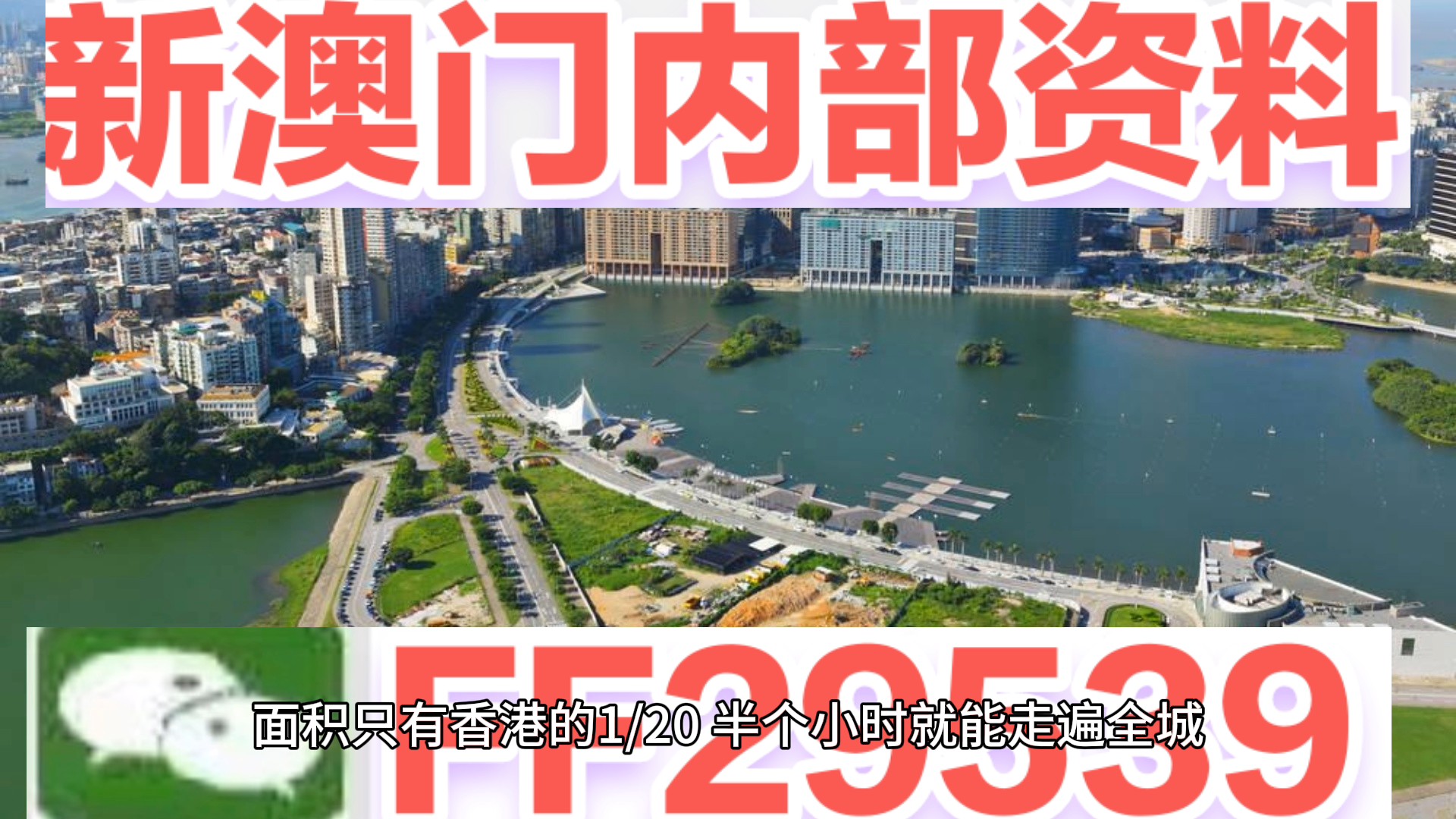 澳門特碼，探索其背后的秘密與魅力，澳門特碼背后的秘密與魅力探索