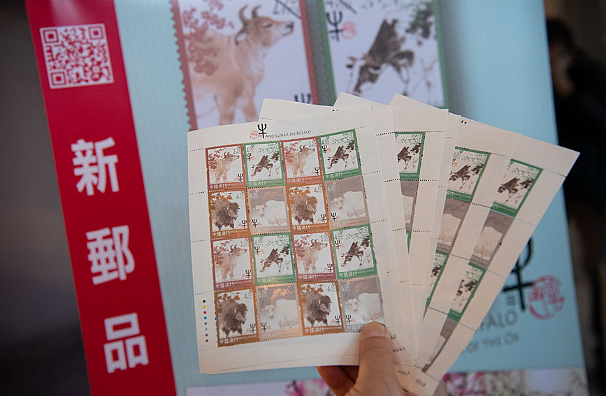 澳門值日生肖600圖庫與八百圖庫開獎，探索生肖圖庫的魅力與奧秘，澳門生肖圖庫開獎揭秘，探索值日生肖600圖庫與八百圖庫的魅力與奧秘