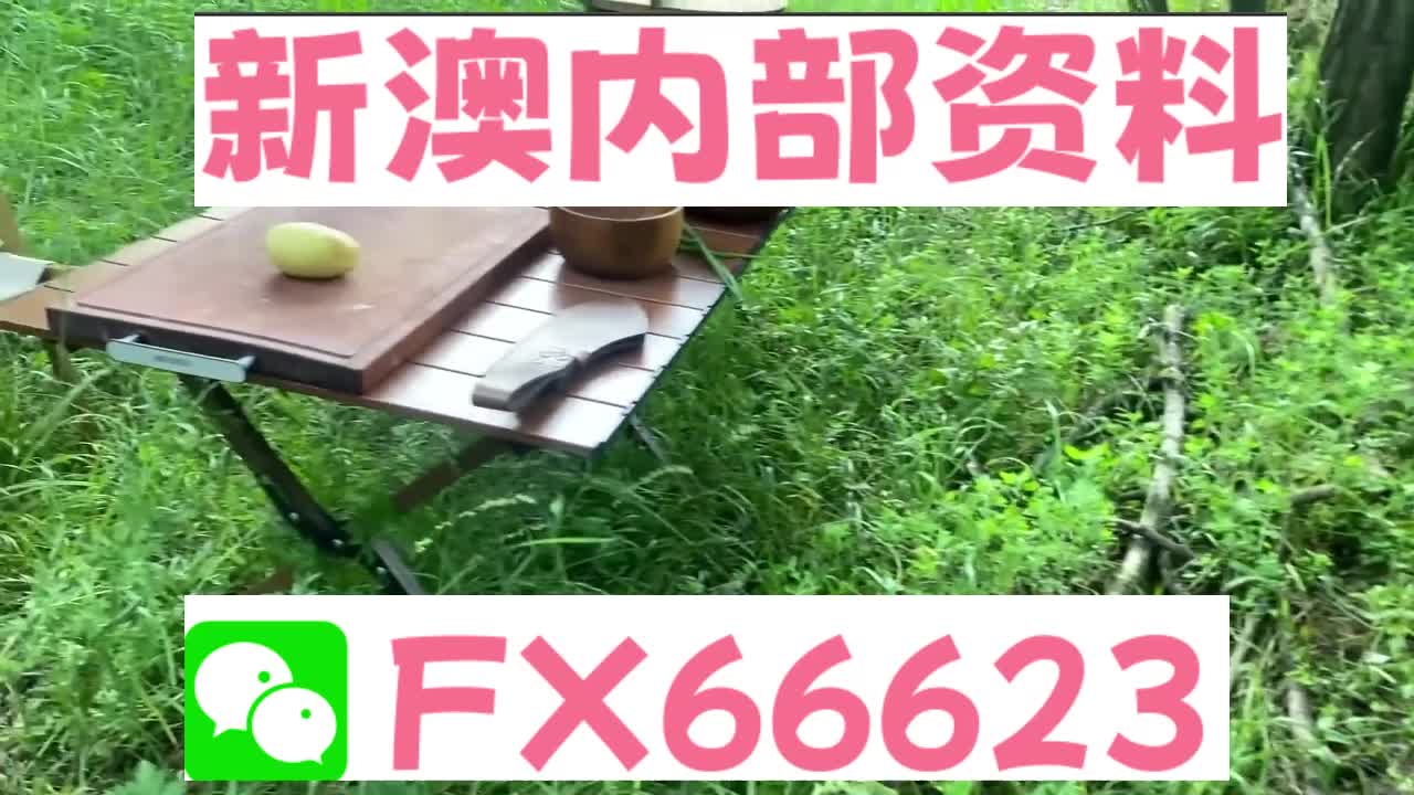 新奧特碼走勢圖解析與預(yù)測，新奧特碼走勢圖解析與預(yù)測，未來趨勢探討