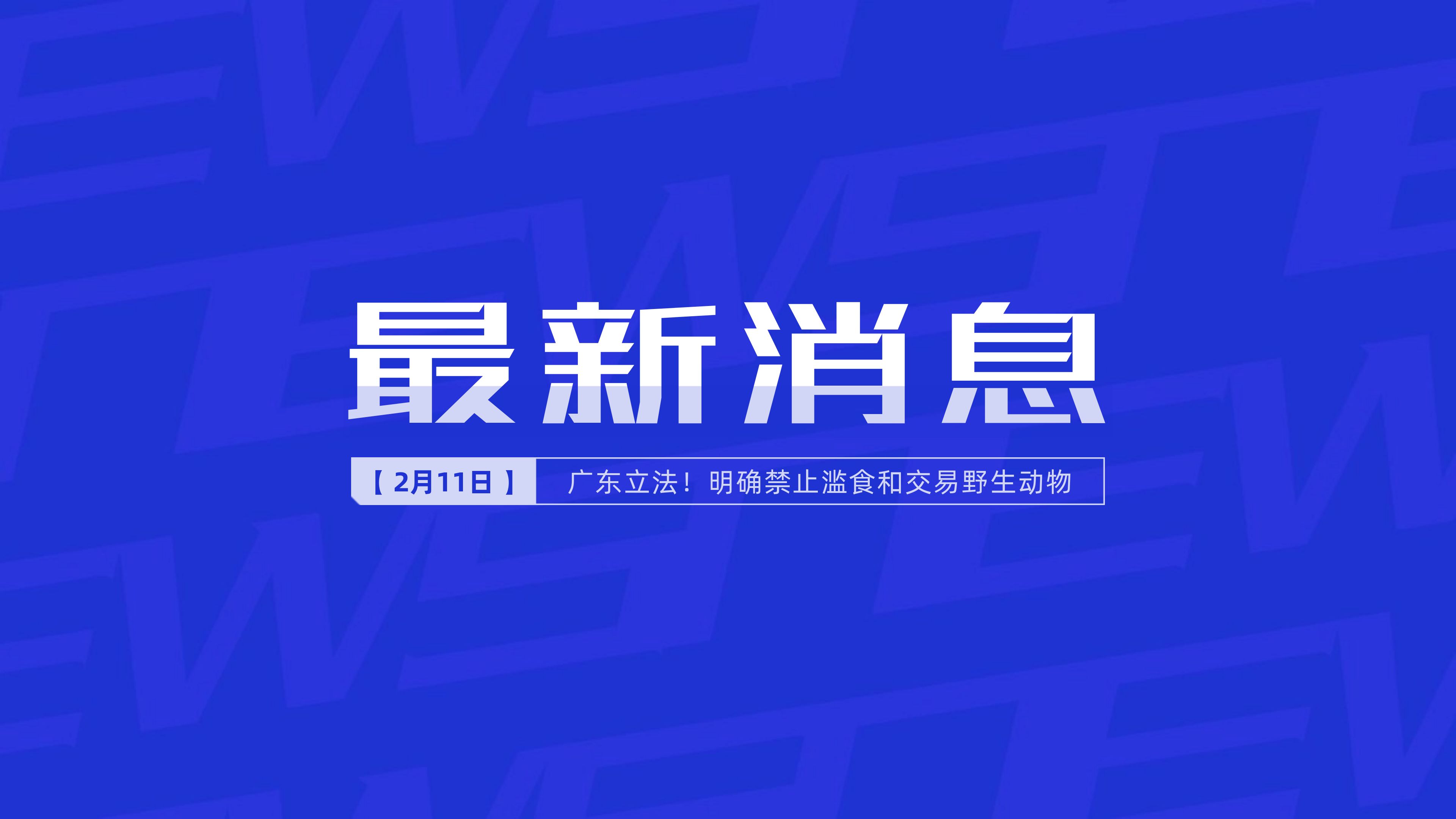 新聞最新新聞，掌握時(shí)事熱點(diǎn)，洞悉世界動(dòng)態(tài)，時(shí)事熱點(diǎn)速遞，掌握全球最新動(dòng)態(tài)新聞