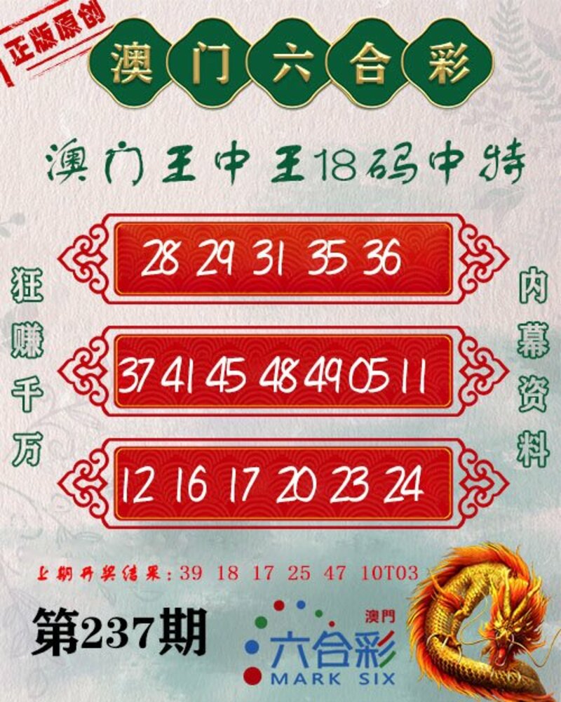 新澳門王中王期期中，探索與解析，新澳門王中王期期中，深度探索與解析