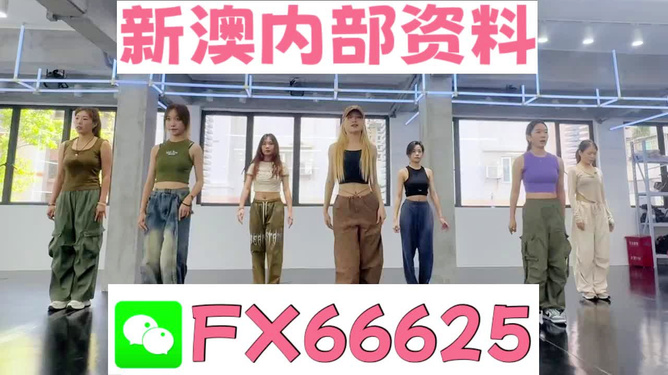 新澳持碼會資料詳解，新澳持碼會資料全面解析