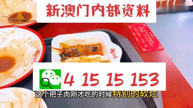 澳門王中王六碼新澳門，探索與解析，澳門王中王六碼新澳門，深度探索與解析