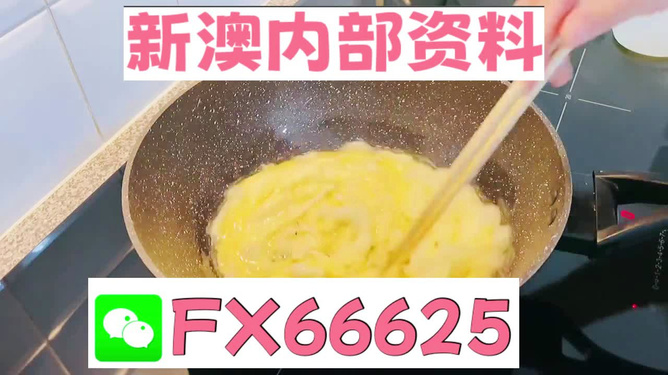 澳門九點(diǎn)半9點(diǎn)半網(wǎng)站——探索與體驗(yàn)，澳門九點(diǎn)半網(wǎng)站，探索與體驗(yàn)之旅