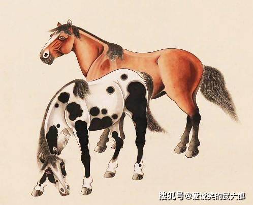 香港四不像一肖生肖圖，揭秘背后的神秘文化，香港四不像一肖生肖圖，神秘文化背后的揭秘