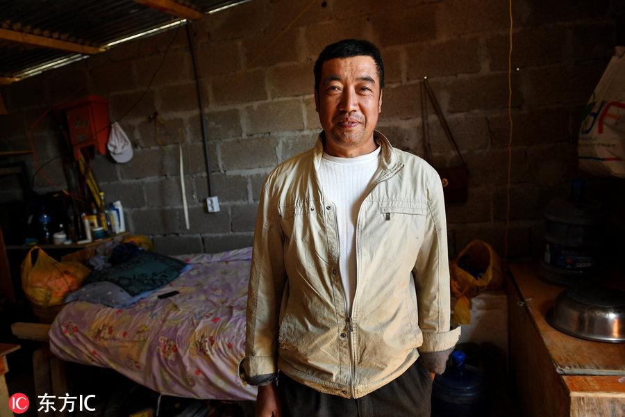 博科圣地組織，深度解析與理解，博科圣地組織深度解析與探究