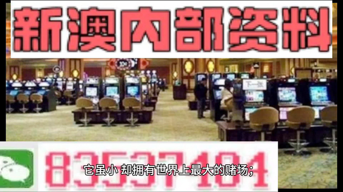 新澳門最精準——探索澳門的精準之旅，澳門精準之旅，探索新澳門的奧秘