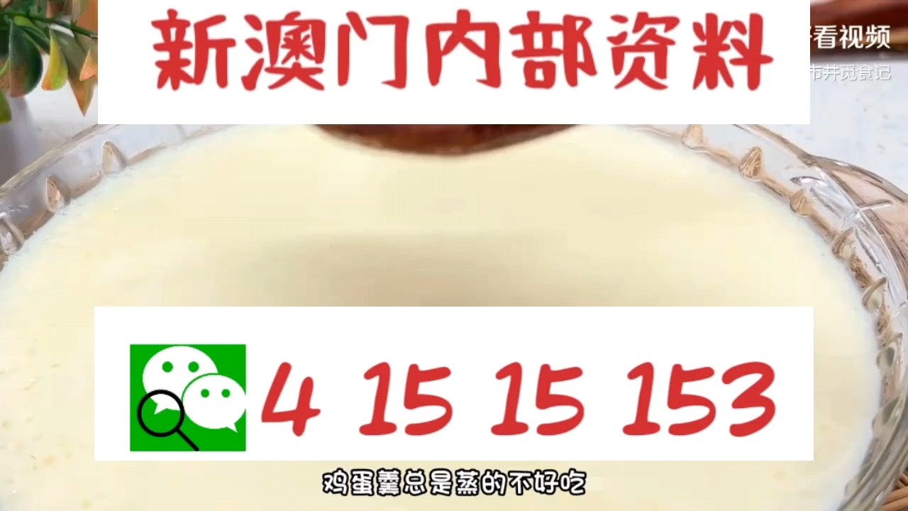 新澳門中特網(wǎng)中特馬，探索與解析，澳門中特馬探索與解析指南