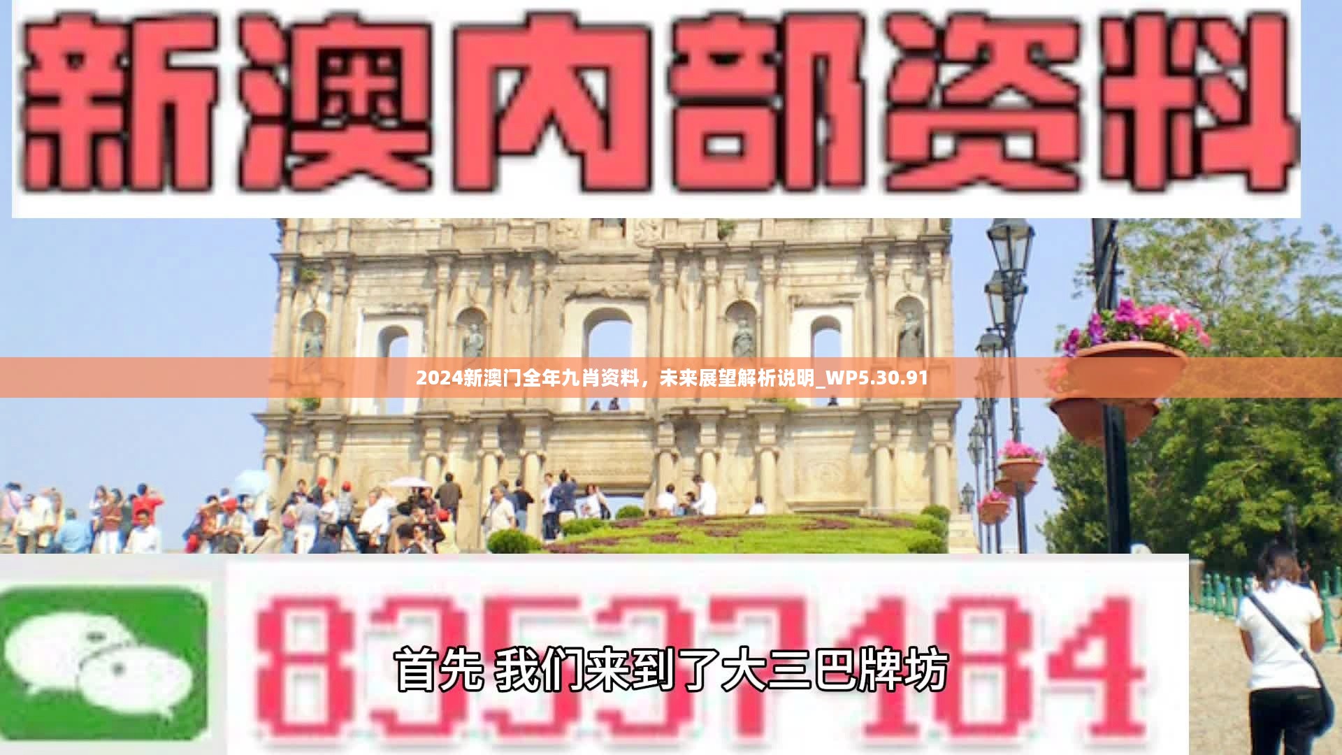 新澳門精準九肖，揭秘預測技巧與策略，揭秘新澳門精準九肖預測技巧與策略