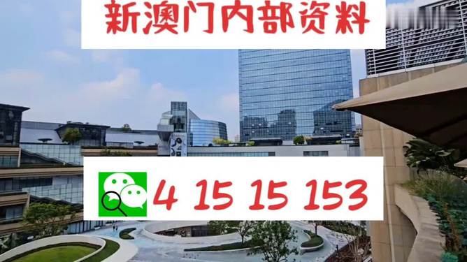 新澳門(mén)單雙，探索數(shù)字世界的奧秘與魅力，澳門(mén)數(shù)字世界的奧秘與魅力探索，單雙數(shù)的奇幻之旅