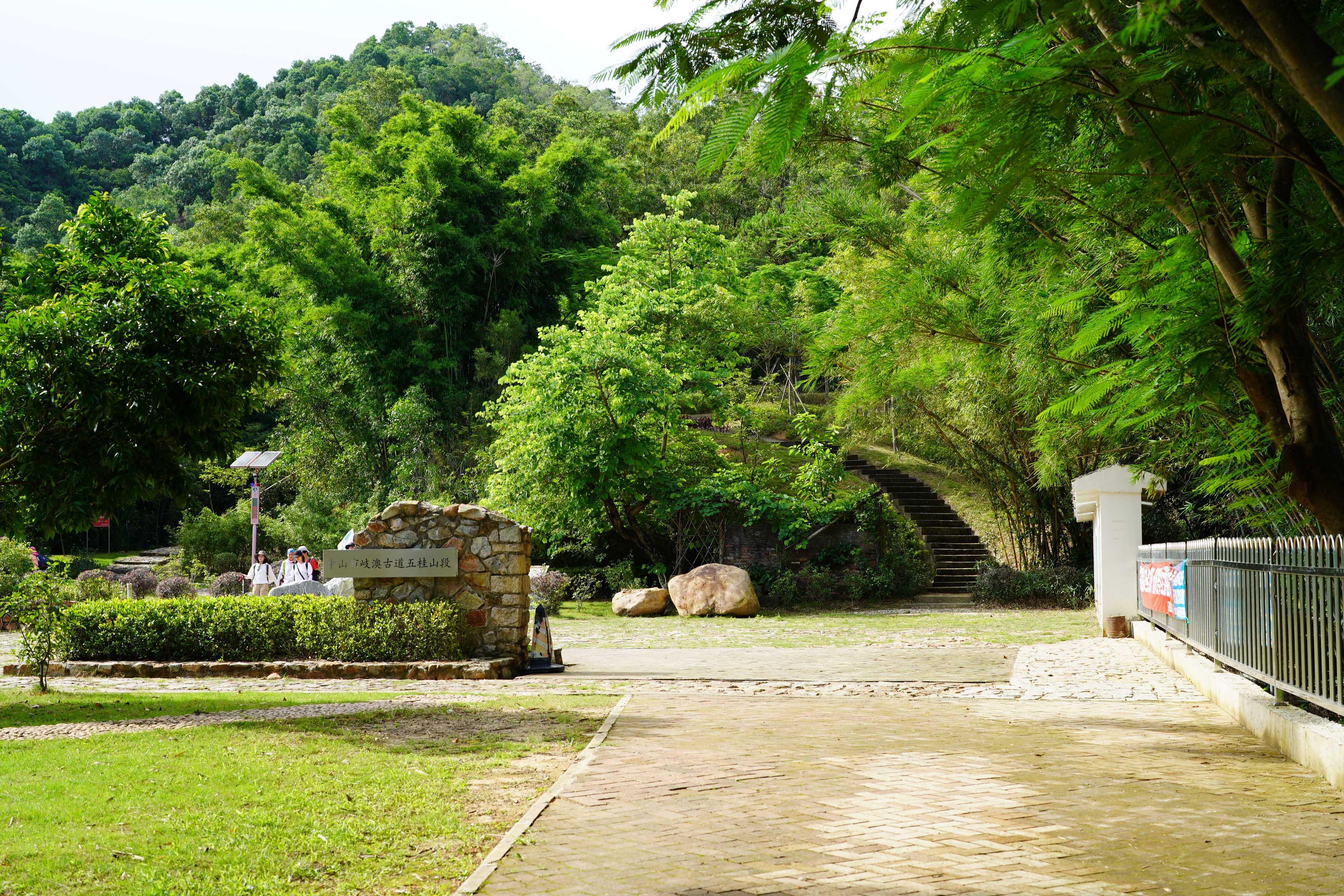 新澳門(mén)波色走勢(shì)圖表大全，深度解析與預(yù)測(cè)，澳門(mén)波色走勢(shì)圖表解析與預(yù)測(cè)大全
