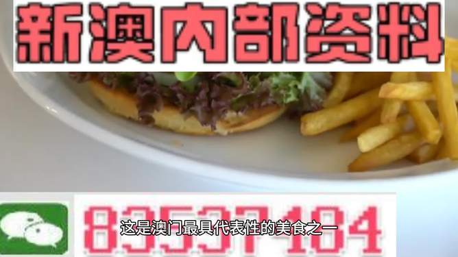 新澳2024生肖最新資料解析與預(yù)測，新澳2024生肖解析與預(yù)測報(bào)告