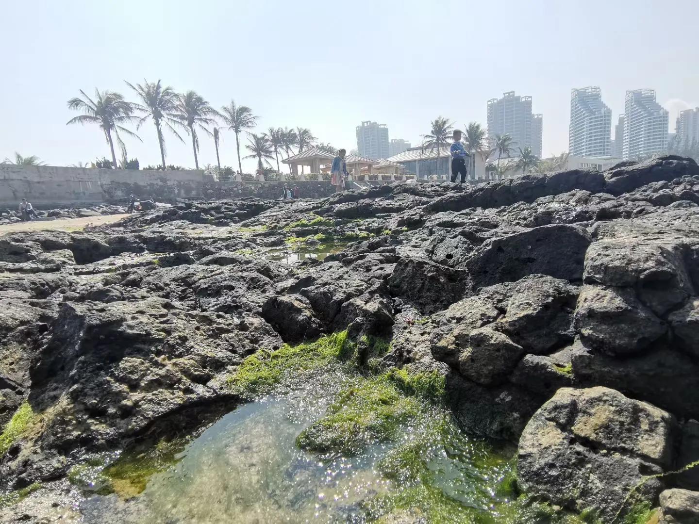 解放海南島電視劇全集下載，探尋30集完整劇情，解放海南島電視劇全集下載，探尋完整的30集劇情探索