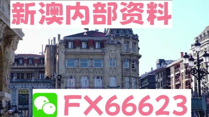 澳門六資料大全，深度探索與揭秘，澳門六資料大全，深度探索與揭秘之旅