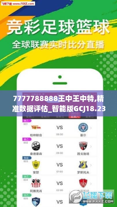 王中王一句中平肖，探尋背后的奧秘與意義，王中王一句中平肖，背后的奧秘與意義探尋
