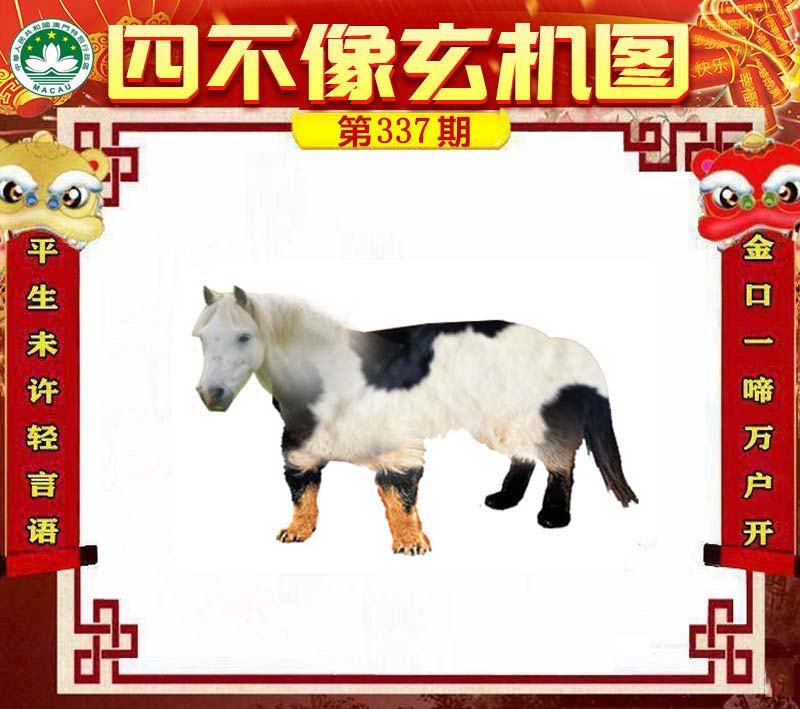 王中王四不像肖一肖中特，探索神秘現(xiàn)象背后的真相，神秘現(xiàn)象背后的真相探索，王中王四不像肖一肖中特揭秘