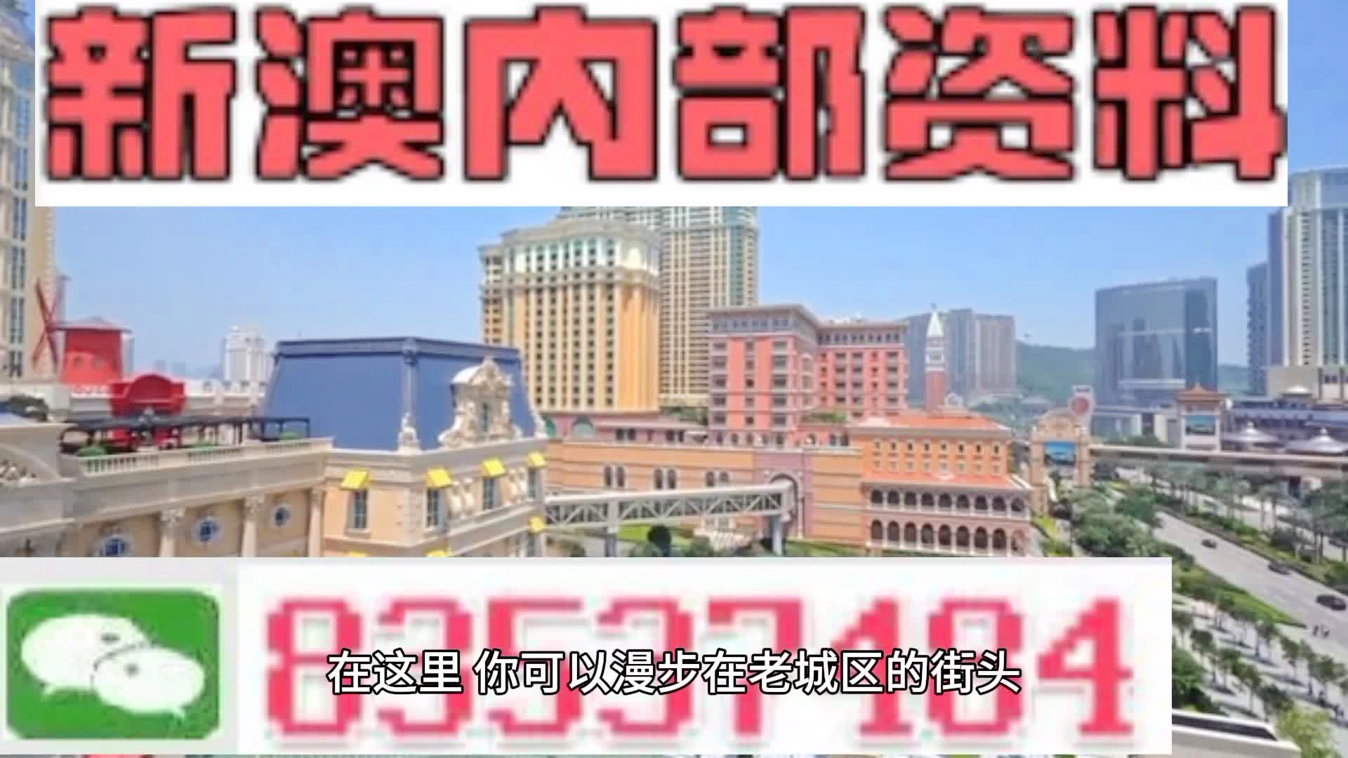 新澳門期期準(zhǔn)精準(zhǔn)，探索澳門的未來與SEO策略，澳門未來展望與SEO策略探索，精準(zhǔn)瞄準(zhǔn)新機(jī)遇