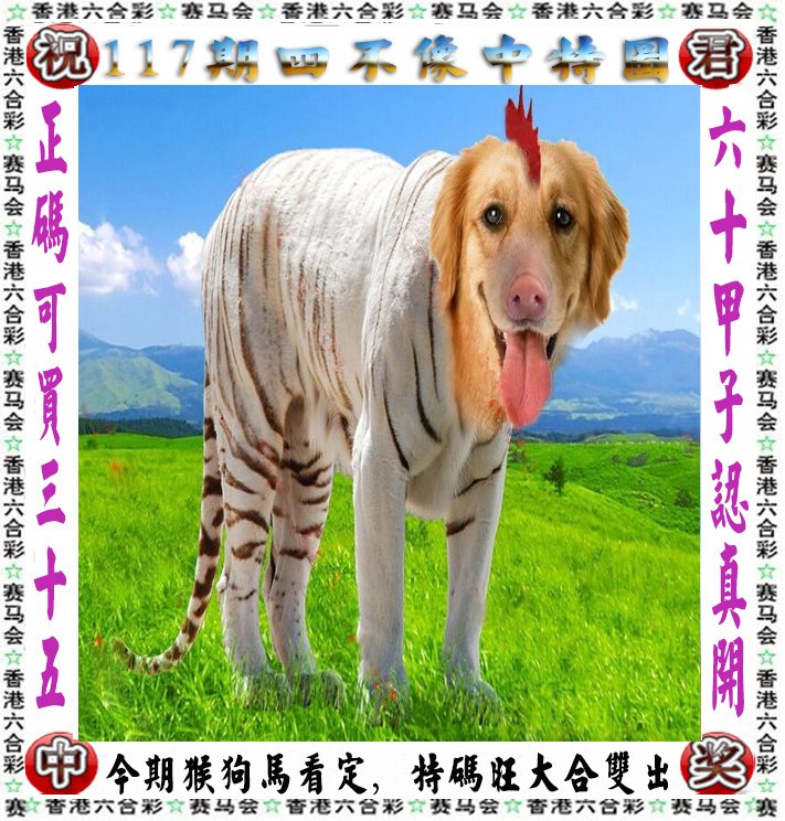 王中王四不像一肖論壇，探索神秘論壇的世界，王中王四不像一肖論壇，神秘論壇世界的探索之旅
