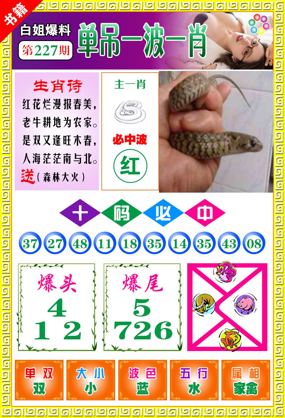 王中王100期期一肖，深度解析與SEO優(yōu)化策略，王中王100期期一肖深度解析與SEO策略全解析