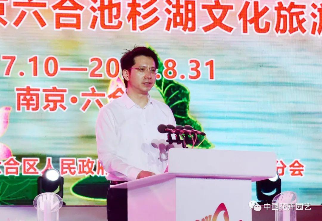 深度分析與預測報告