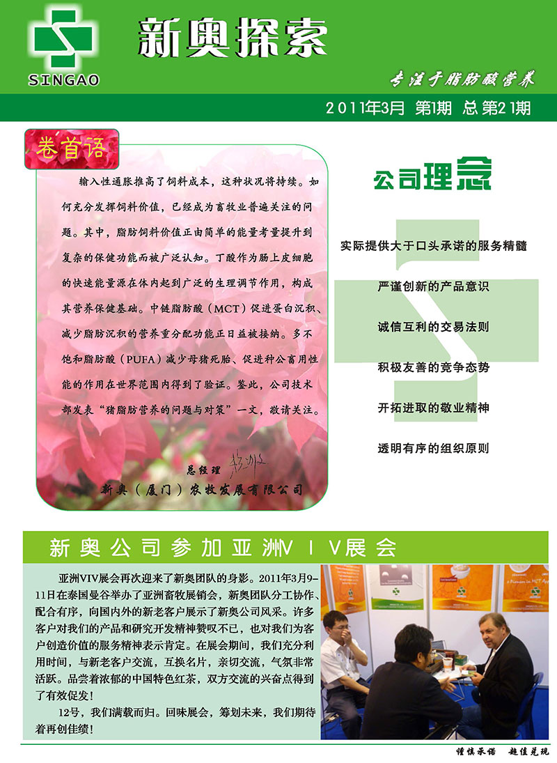 2025新澳正版資料精準(zhǔn)解析與預(yù)測，2025新澳正版資料精準(zhǔn)解析與趨勢預(yù)測