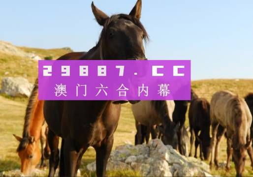 澳門(mén)49圖庫(kù)下載安裝綠色，全面指南與優(yōu)勢(shì)解析，澳門(mén)49圖庫(kù)下載安裝綠色版，全面指南與優(yōu)勢(shì)深度解析