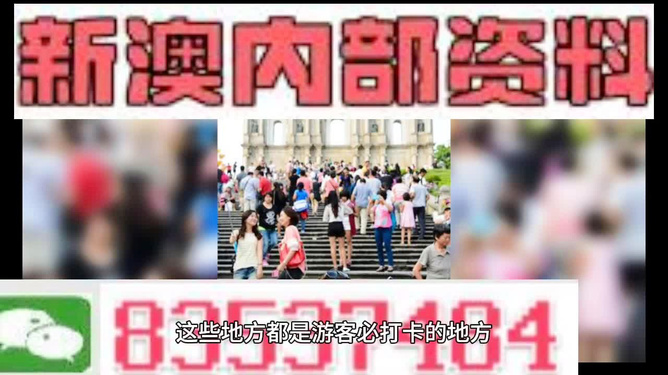 新澳106期資料詳解與探索，新澳106期資料深度解析與探索