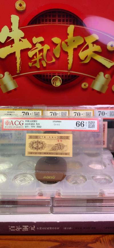 王中王致家一肖，解析背后的故事與奧秘，揭秘王中王致家一肖背后的故事與奧秘