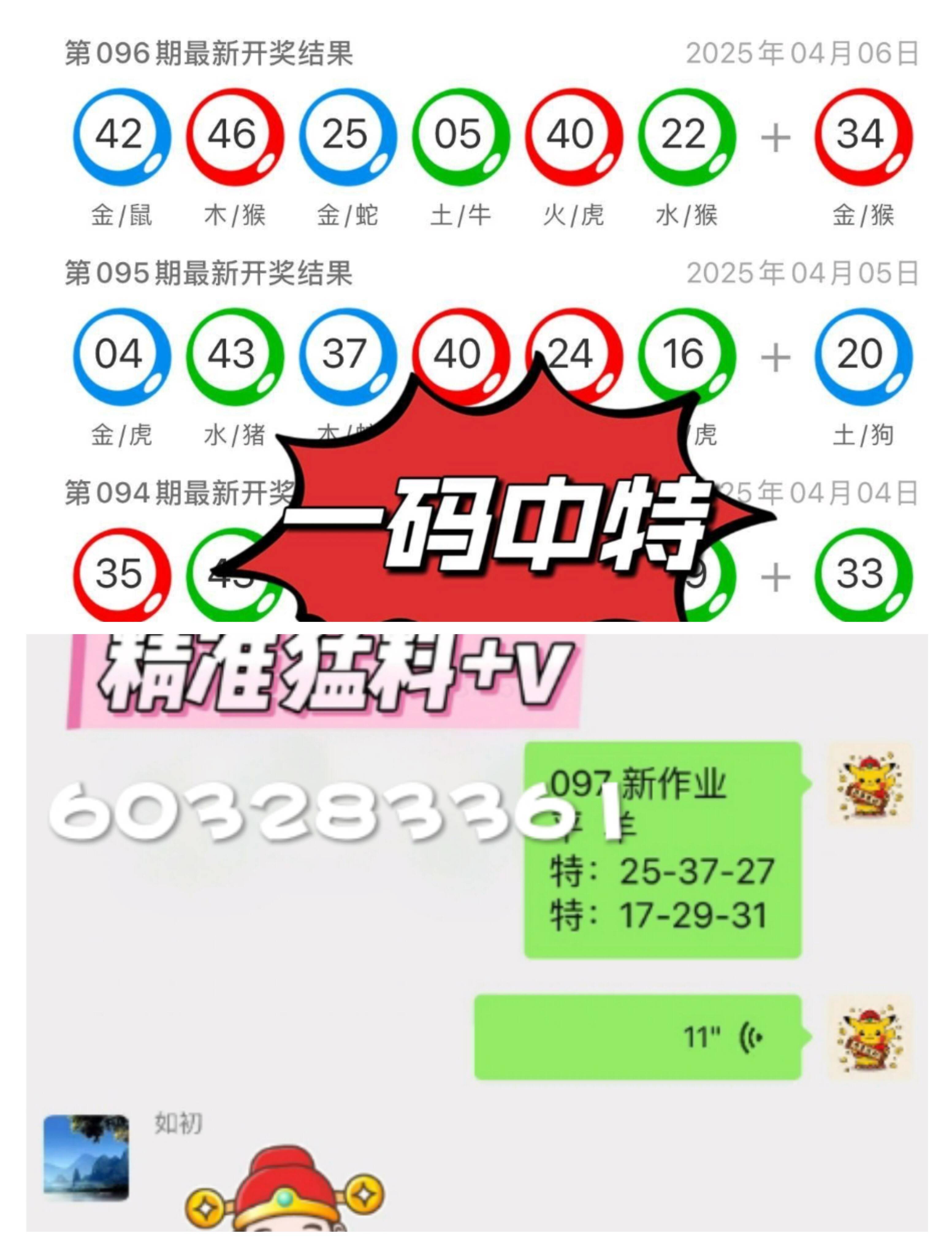 澳門一肖一碼中的奧秘與探索，澳門一肖一碼中的奧秘揭秘與探索之旅